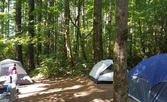 Ashley B.'s photo at Seaquest State Park Campground near Clatskanie, OR