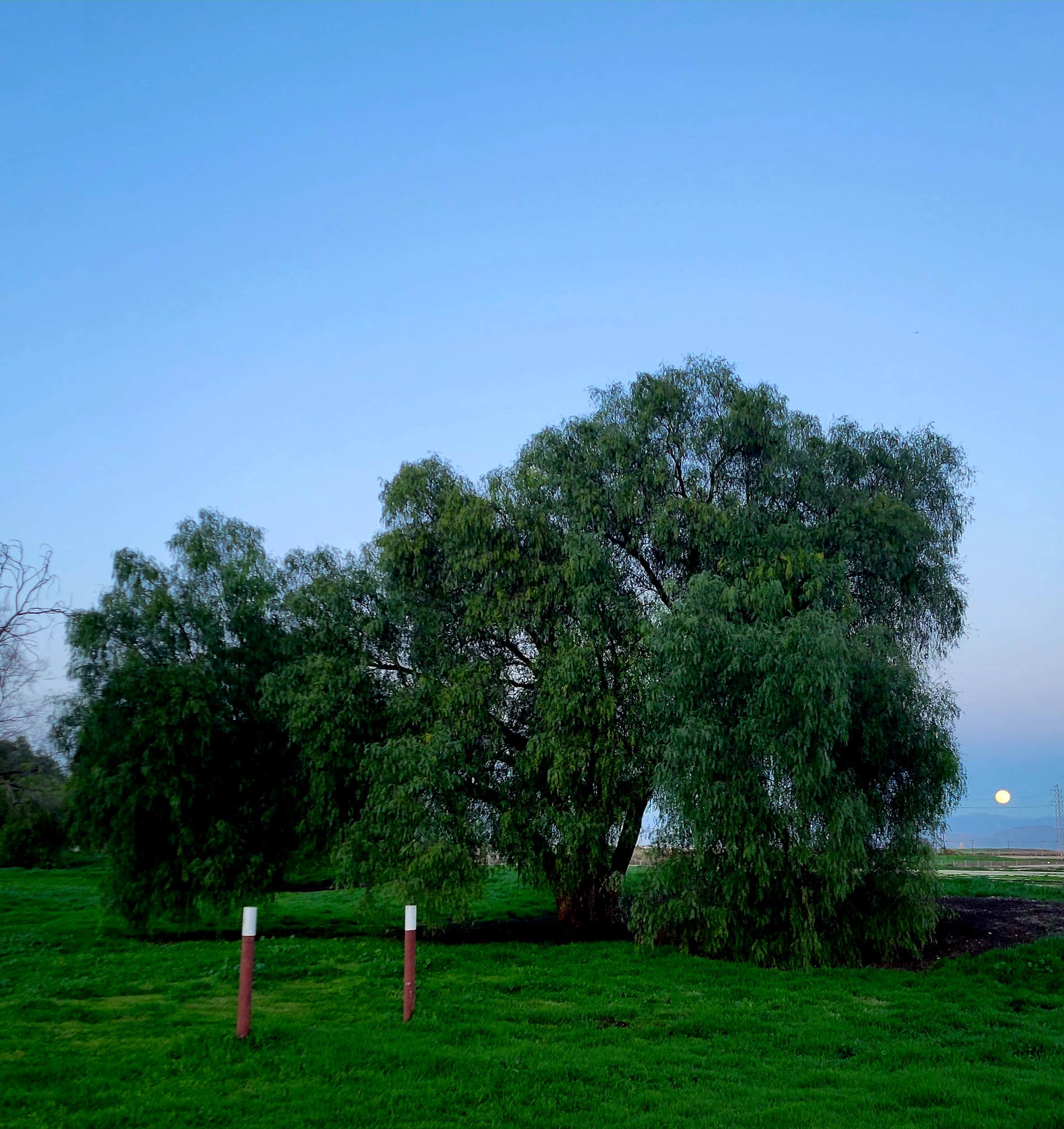 Camper-submitted photo at Prado Regional Park near Colton, CA