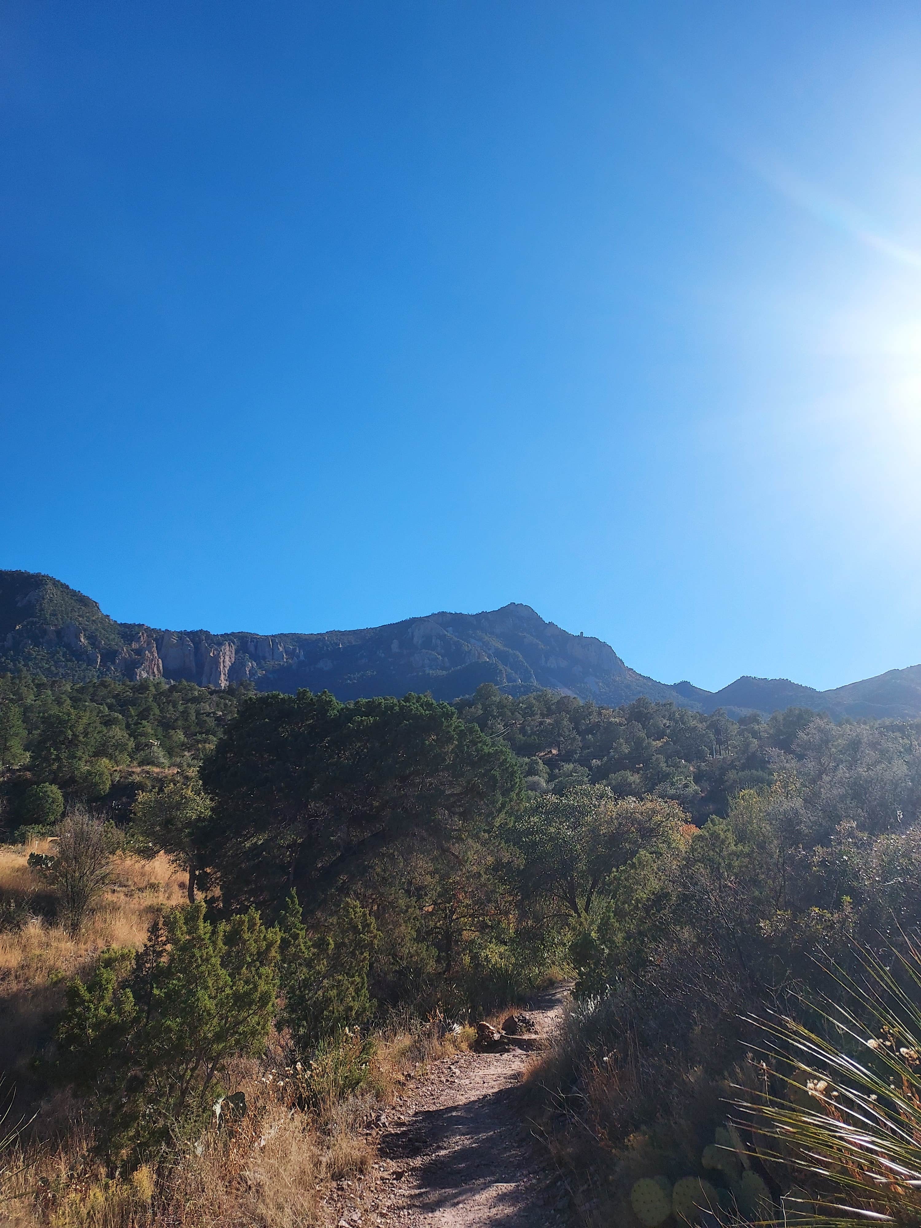 Camper submitted image from Juniper Flats 1 — Big Bend National Park - 2