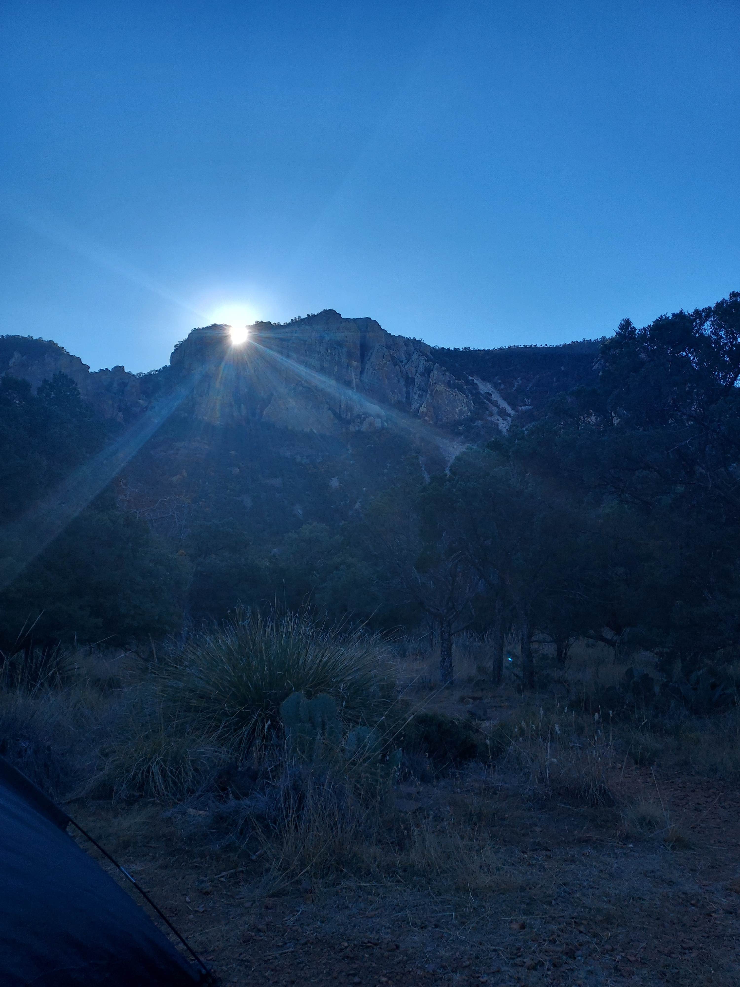 Camper-submitted photo at Juniper Flats 1 — Big Bend National Park near Big Bend National Park