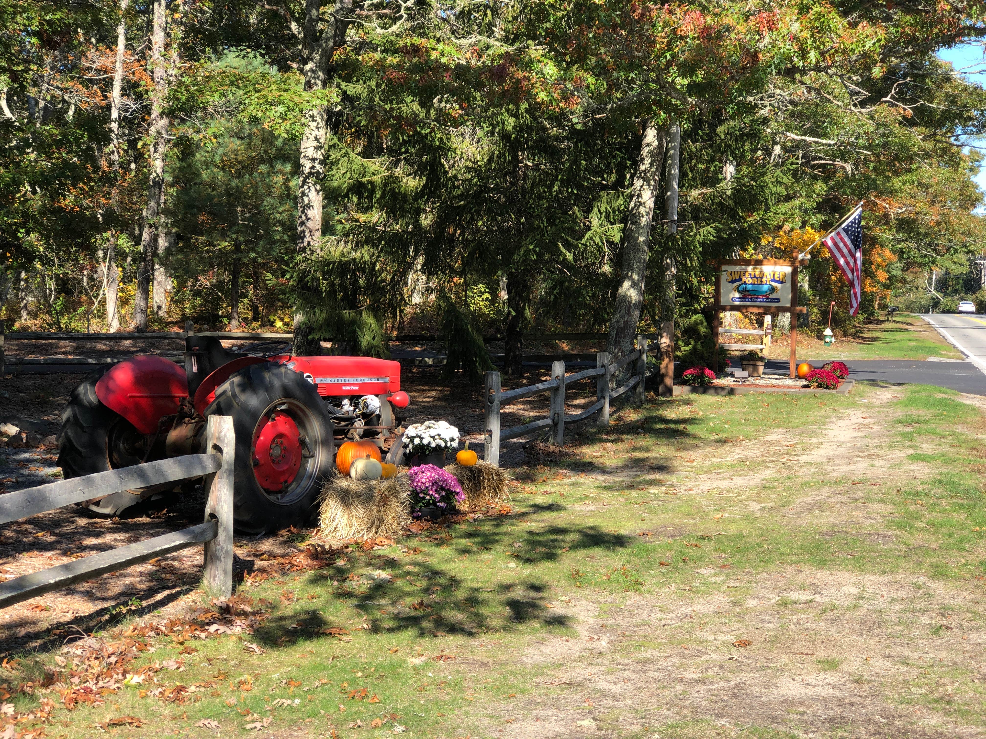 Camper-submitted photo at Sweetwater Forest near Orleans, MA