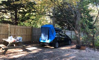 James N.'s photo at Sweetwater Forest near Provincetown, MA