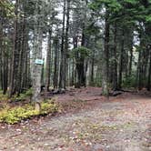 Review photo of Bass Harbor Campground by James N., January 7, 2023