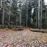 Review photo of Bass Harbor Campground by James N., January 7, 2023