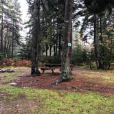 Review photo of Bass Harbor Campground by James N., January 7, 2023