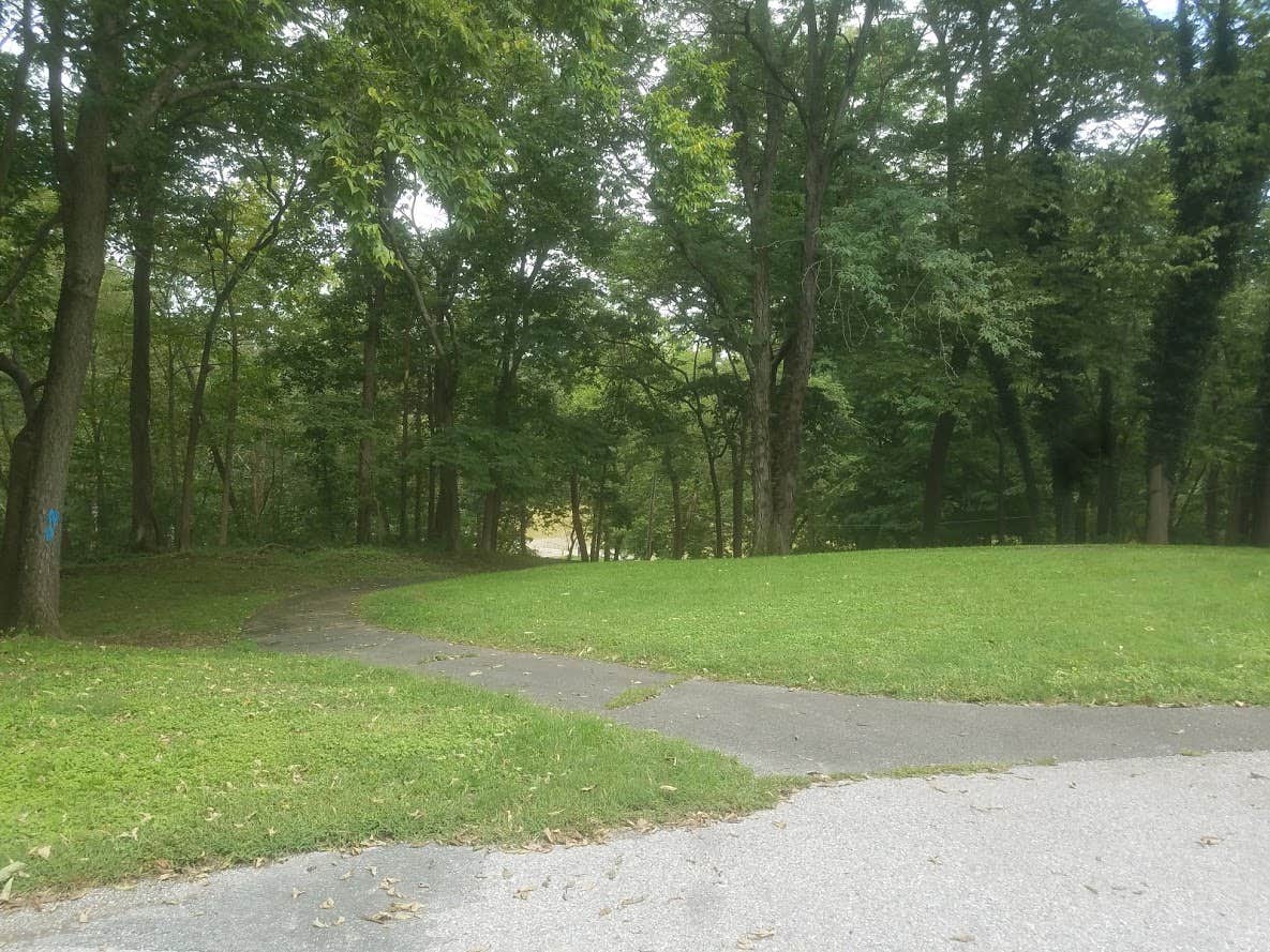 Camper submitted image from Otter Creek Campground - 4