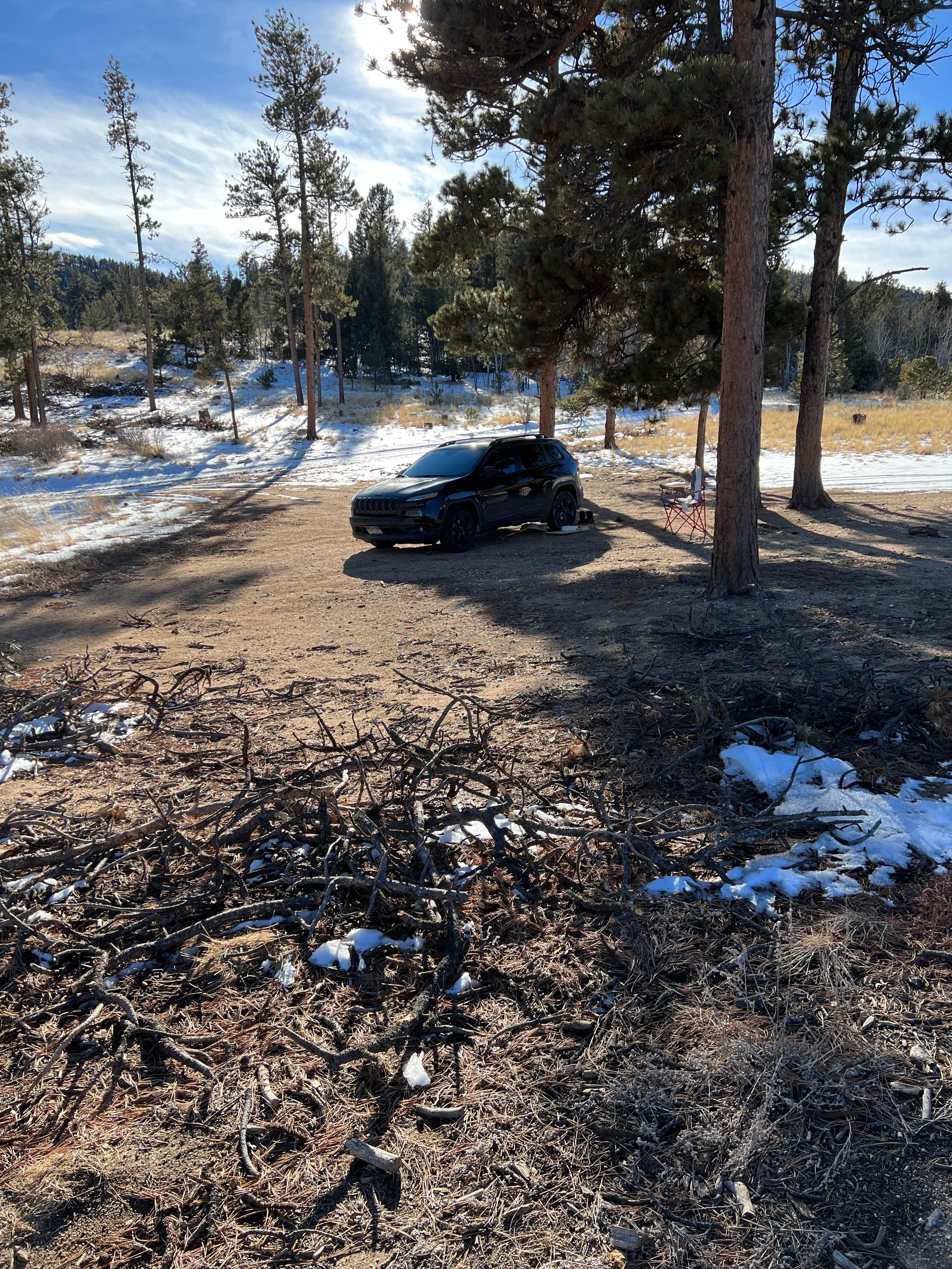 Camper submitted image from Forest Service Road 250 Dispersed - 3