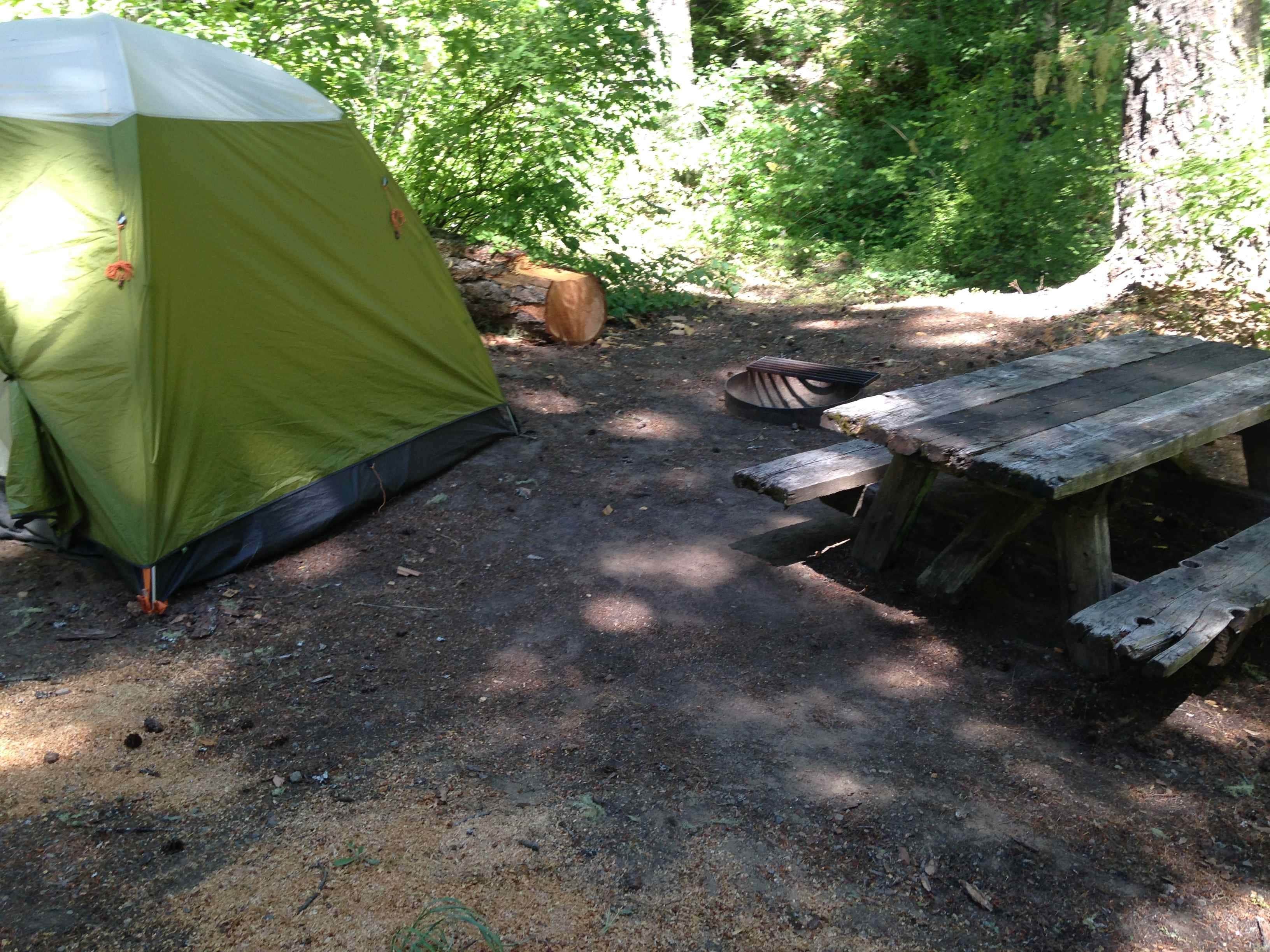 Camper-submitted photo at Trout Creek near White Salmon, WA