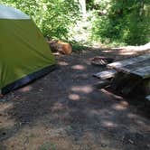 Review photo of Trout Creek by Bjorn S., July 9, 2015