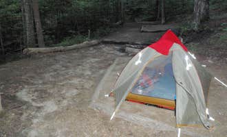 Camping near Springer Mountain Shelter: Lance Creek Campsite, Chattahoochee-Oconee National Forest, Georgia