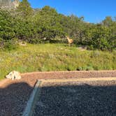 Review photo of Raptor Glenn Campground — Cheyenne Mountain by Tyler S., January 8, 2023