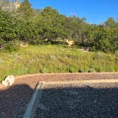 Review photo of Raptor Glenn Campground — Cheyenne Mountain by Tyler S., January 8, 2023