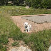 Review photo of Cheyenne Mountain State Park Raptor Glenn Campground by Tyler S., January 8, 2023