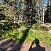Review photo of Mueller State Park Campground by Tyler S., January 8, 2023