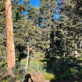 Review photo of Mueller State Park Campground by Tyler S., January 8, 2023