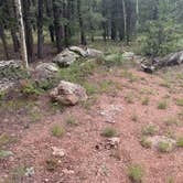 Review photo of Mueller State Park Campground by Tyler S., January 8, 2023