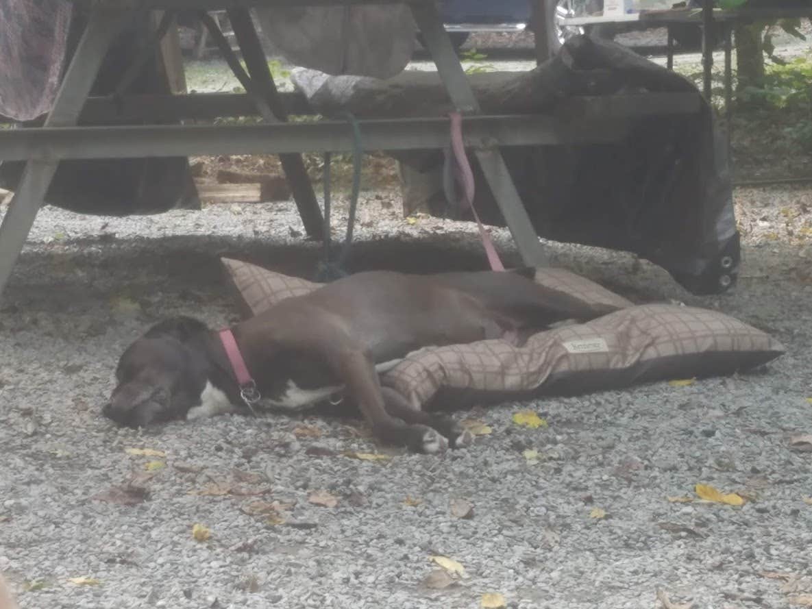 Camper-submitted photo at Otter Creek Campground near Drumore, PA