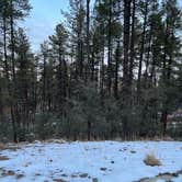 Review photo of White Spar Campground by Chris P., January 8, 2023