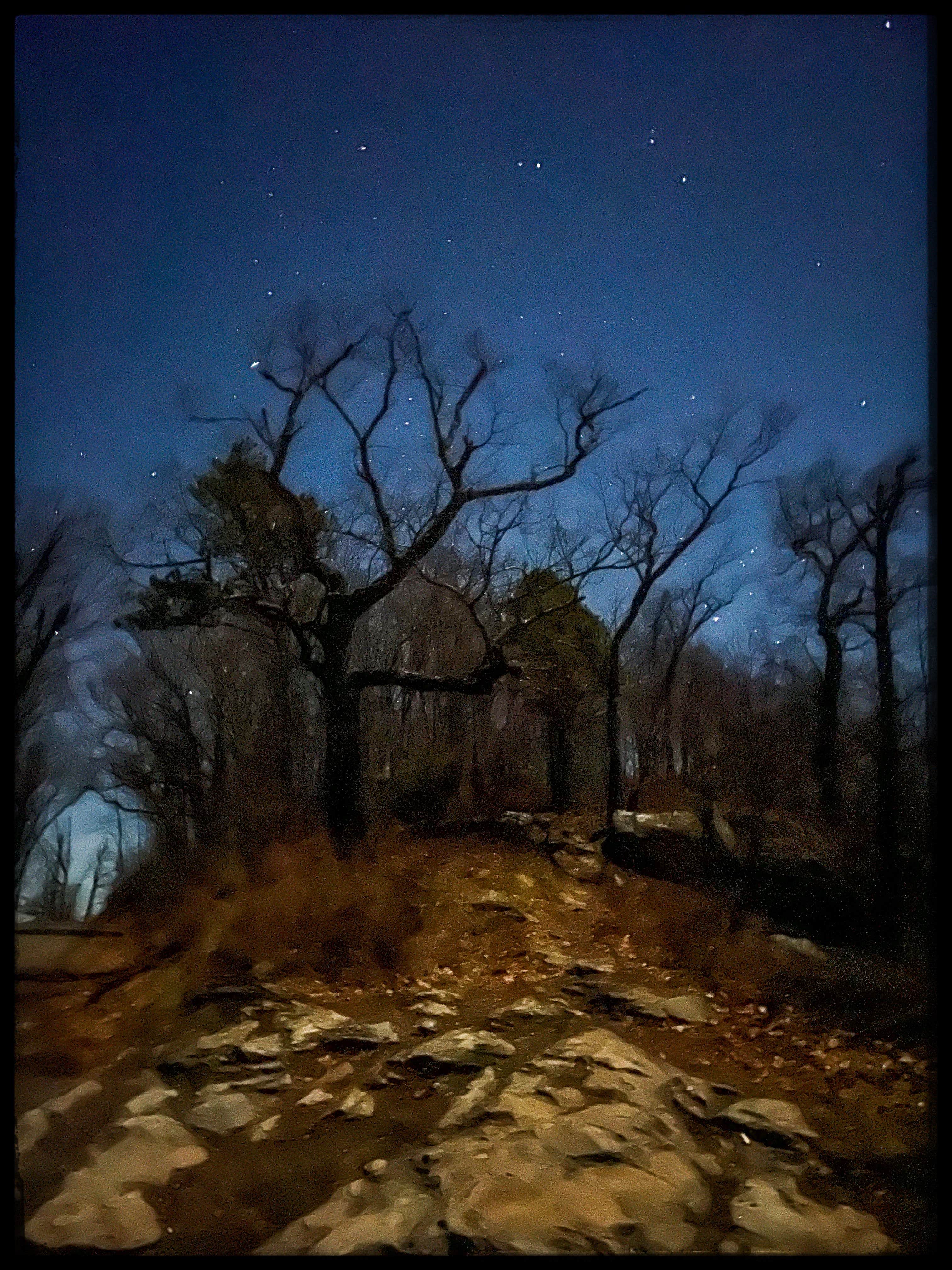 Andy K.'s photo of a dispersed camping area at Old NC 105 Dispersed near Linville Falls, NC