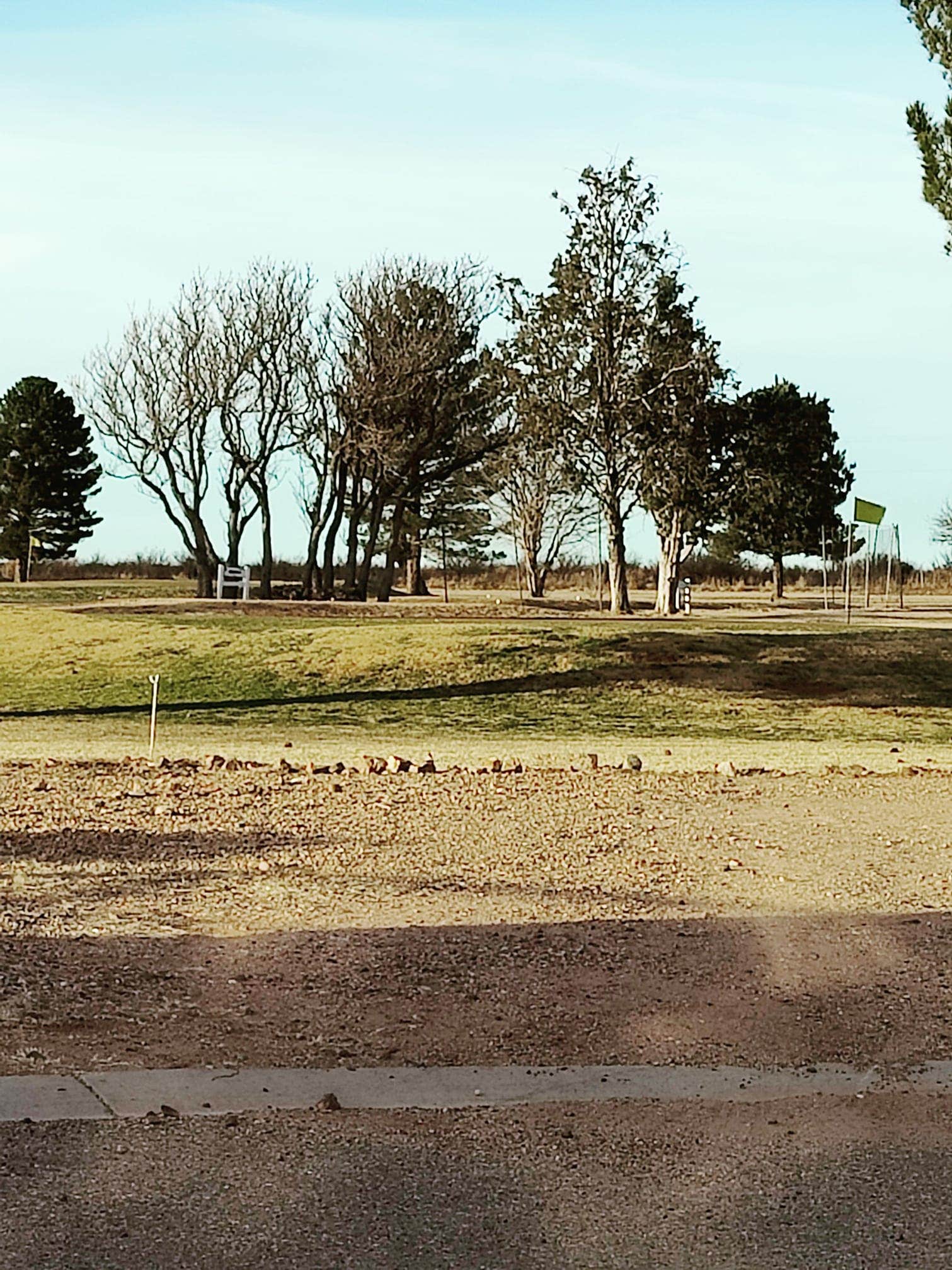 Camper-submitted photo at Hidden Treasures RV Park near Rodeo, NM