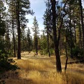 Review photo of Mount Hood National Forest Rock Creek Reservoir Campground by Ashley B., September 27, 2018