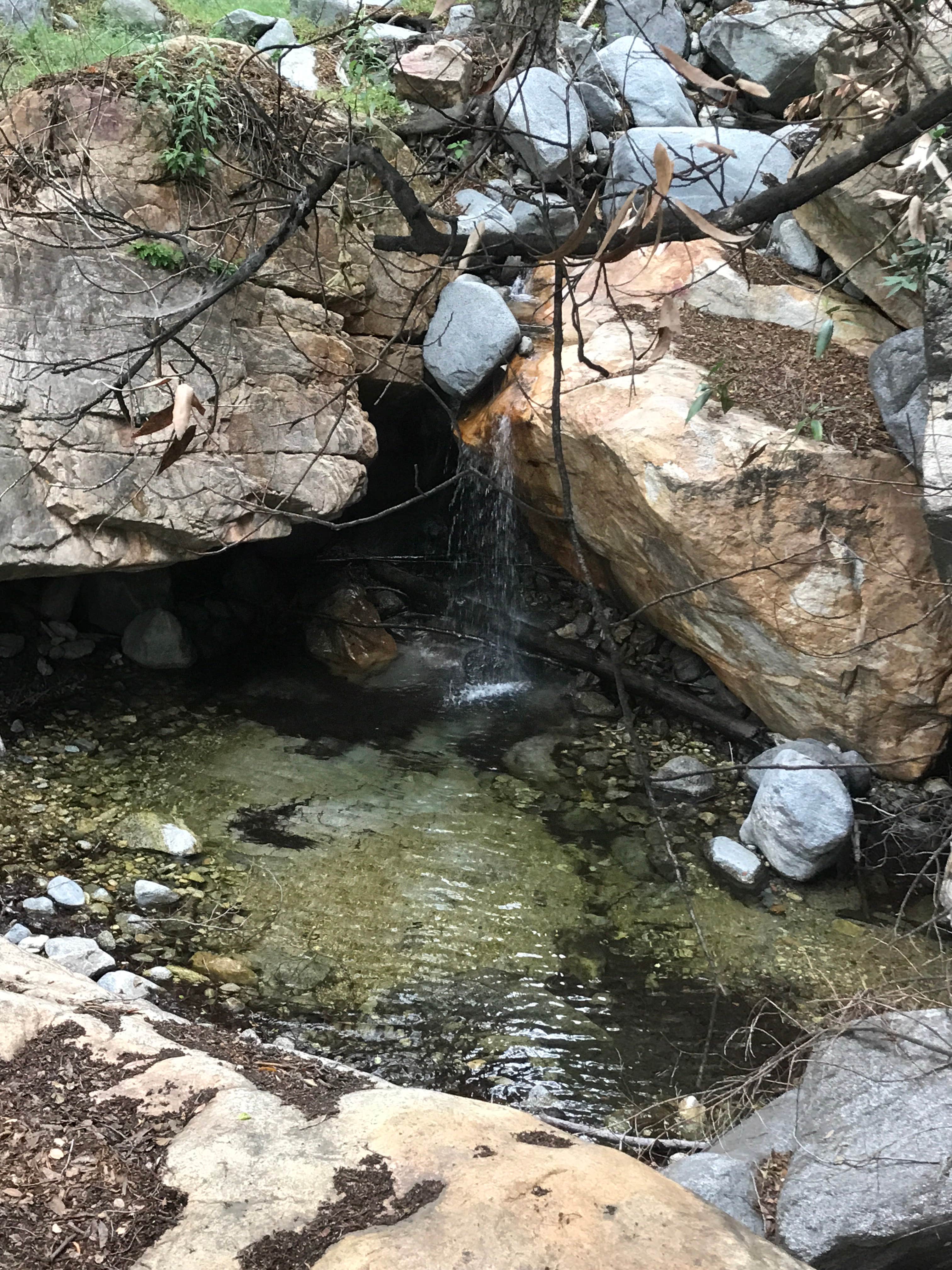 Oakwilde campground clearance