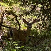 Review photo of Hendy Woods State Park Campground by Troy L., January 9, 2023