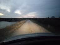 Jennifer N.'s photo of a dispersed camping area at LBJ National Grasslands Forest Road 904 Dispersed Camping near The Colony, TX