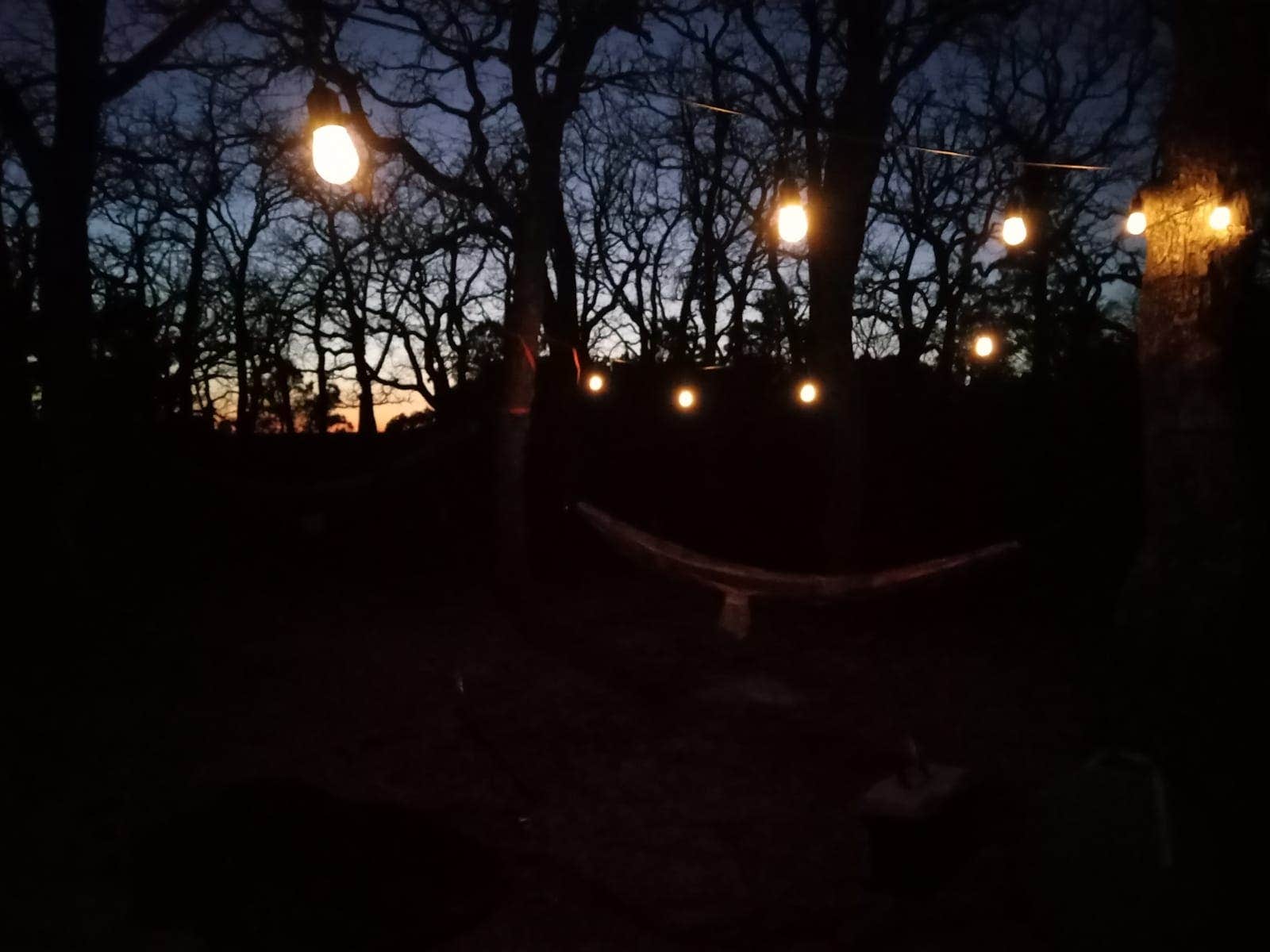 Camping near Sunset RV Park: LBJ National Grasslands Forest Road 904 Dispersed Camping, Alvord, Texas