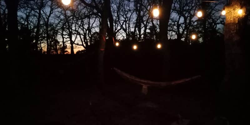 Camper submitted image from LBJ National Grasslands Forest Road 904 Dispersed Camping