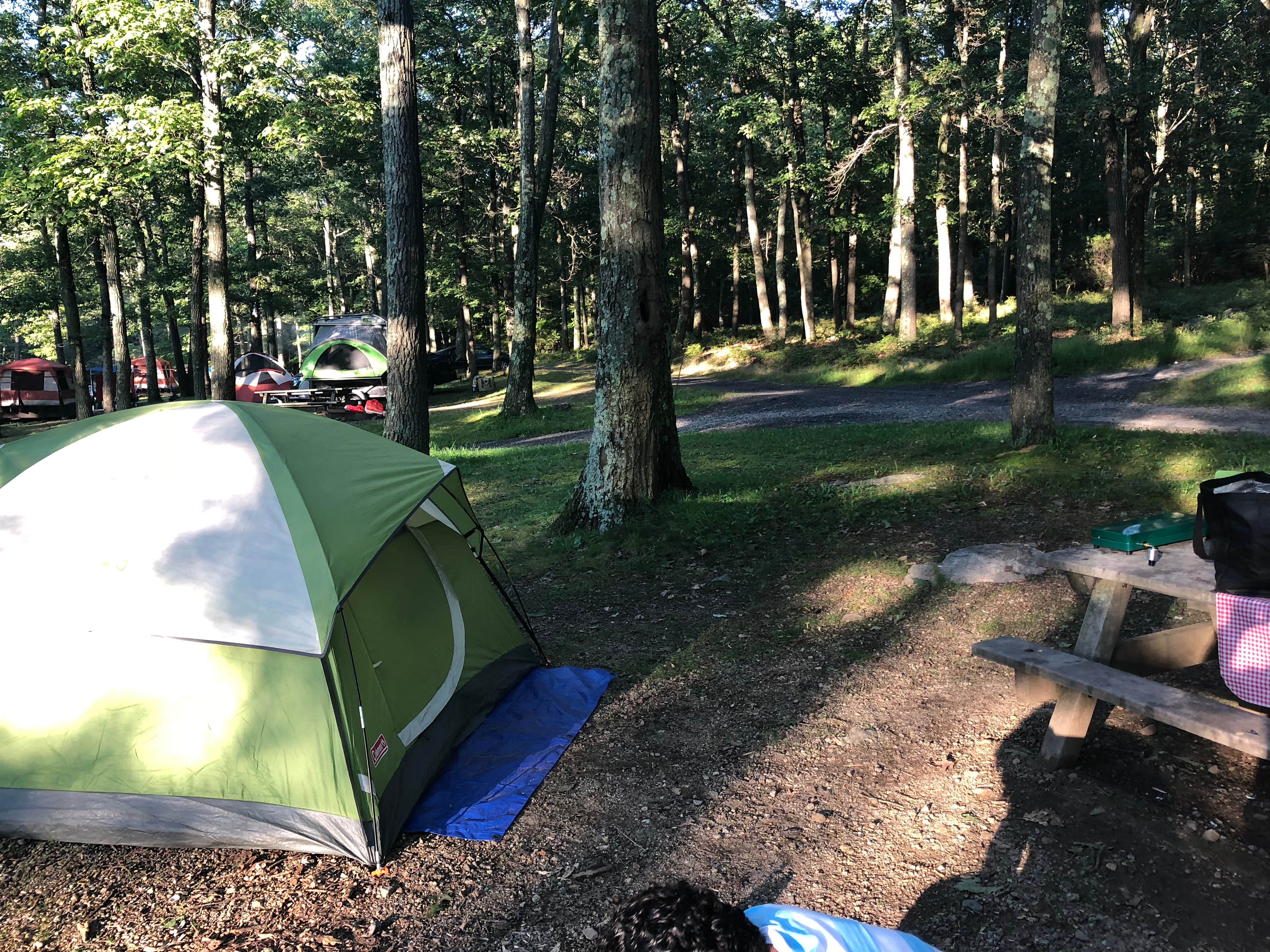 Emma N.'s photo at New York City North/Newburgh KOA near Lake Mohegan, NY