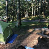 Review photo of Beaver Pond Campground — Harriman State Park by Emma N., September 27, 2018