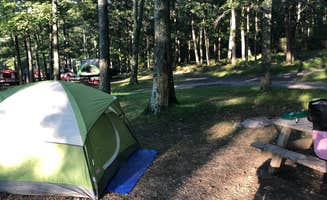 Emma N.'s photo at New York City North/Newburgh KOA near Pelham, NY