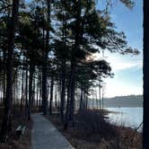 Review photo of Pinewoods Lake Rec Area — Mark Twain National Forest by Rachel G., January 9, 2023