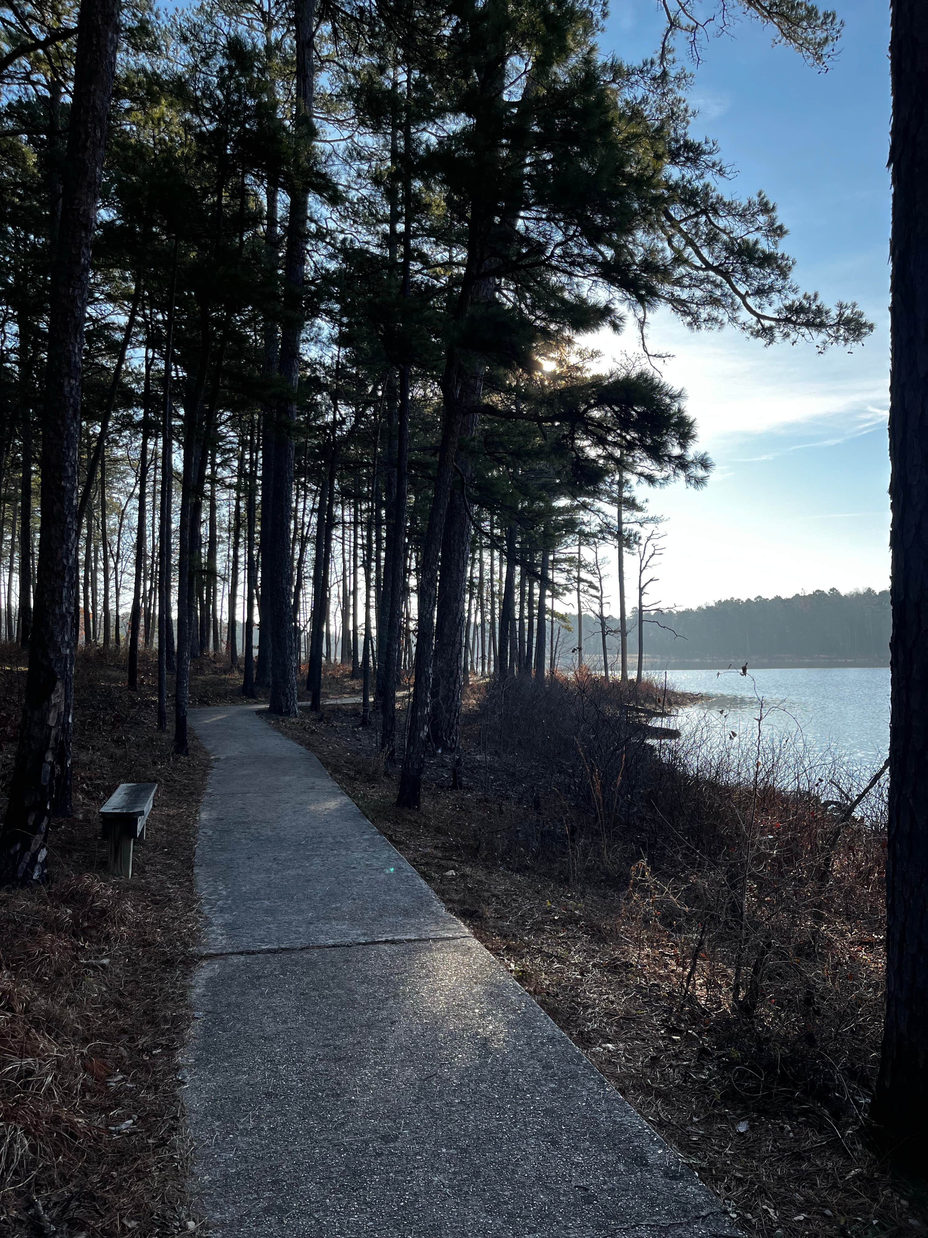 Camper submitted image from Pinewoods Lake Rec Area — Mark Twain National Forest - 3