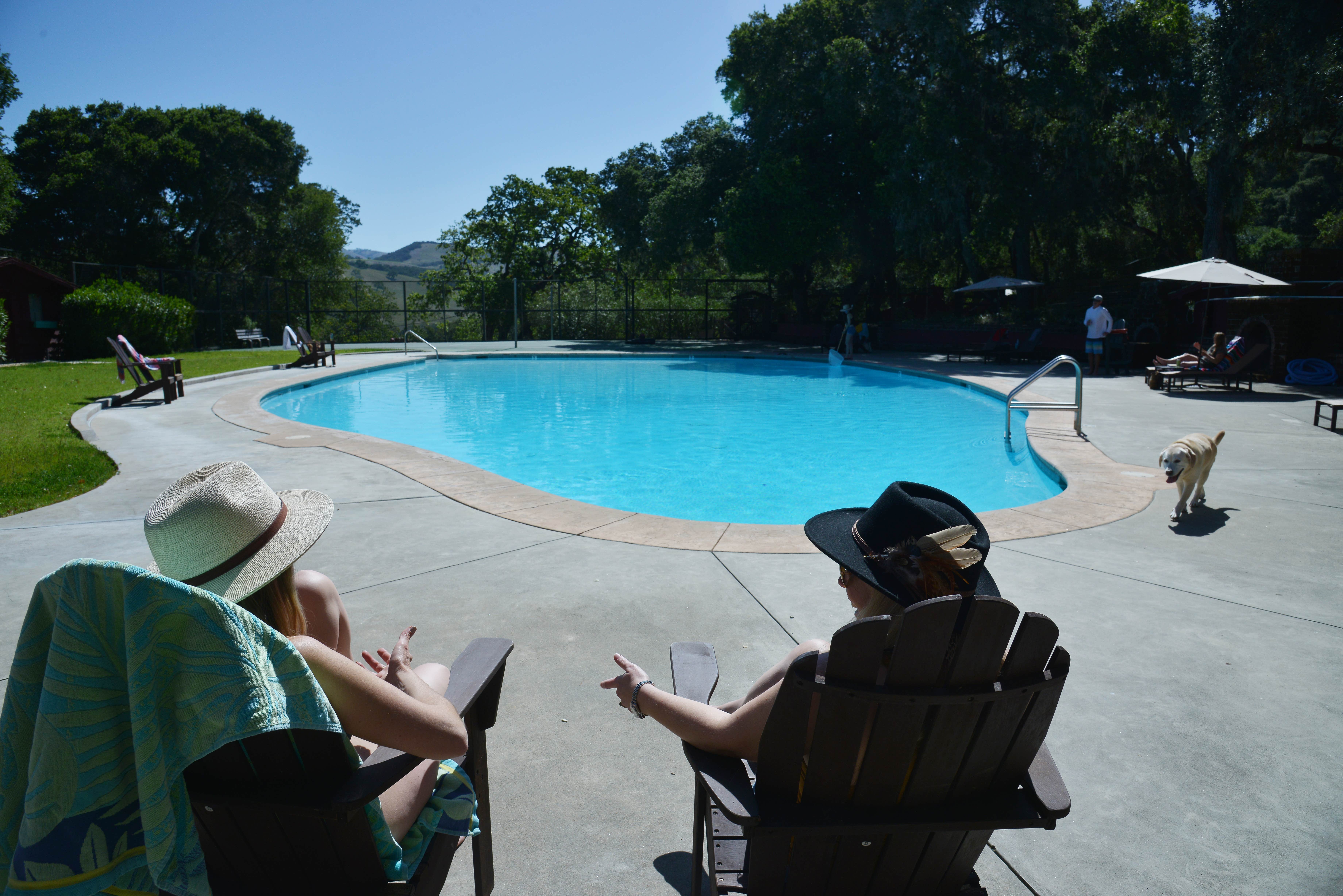 Kiley W.'s photo of camping with pets at The Camp Carmel Valley - Cabins near Carmel Valley Village, CA