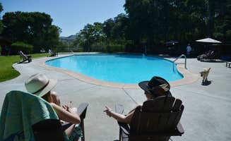 Kiley W.'s photo of camping with pets at The Camp Carmel Valley - Cabins near Big Sur, CA