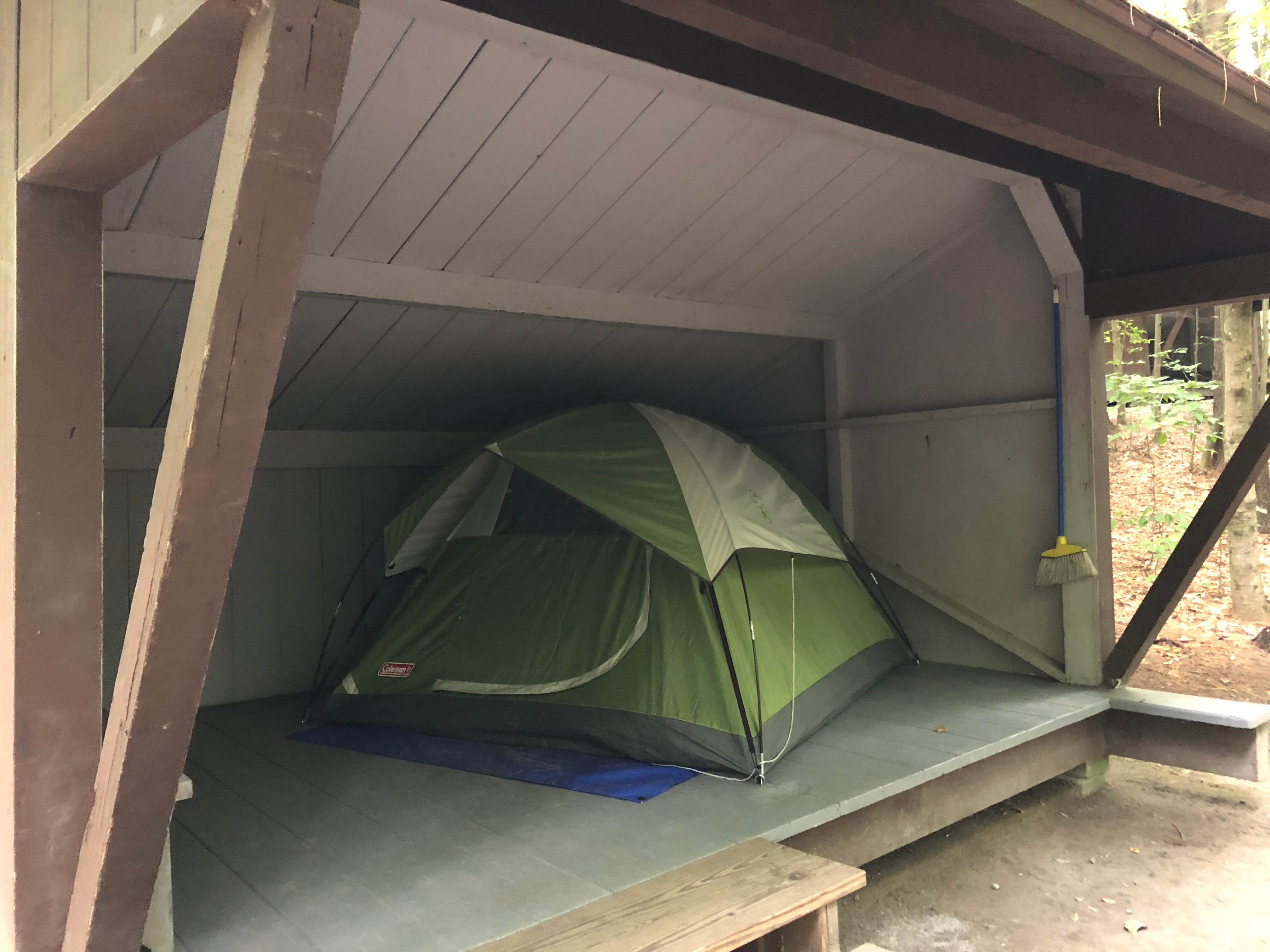 Emma N.'s photo of camping with pets at Mount Ascutney State Park Campground near Etna, NH