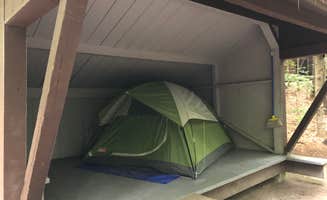 Emma N.'s photo of camping with pets at Mount Ascutney State Park Campground near Hanover, NH