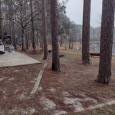 Review photo of Sand Pond Campground - Pine Log State Forest by Melody B., January 9, 2023