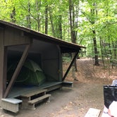 Review photo of Mount Ascutney State Park Campground by Emma N., September 27, 2018