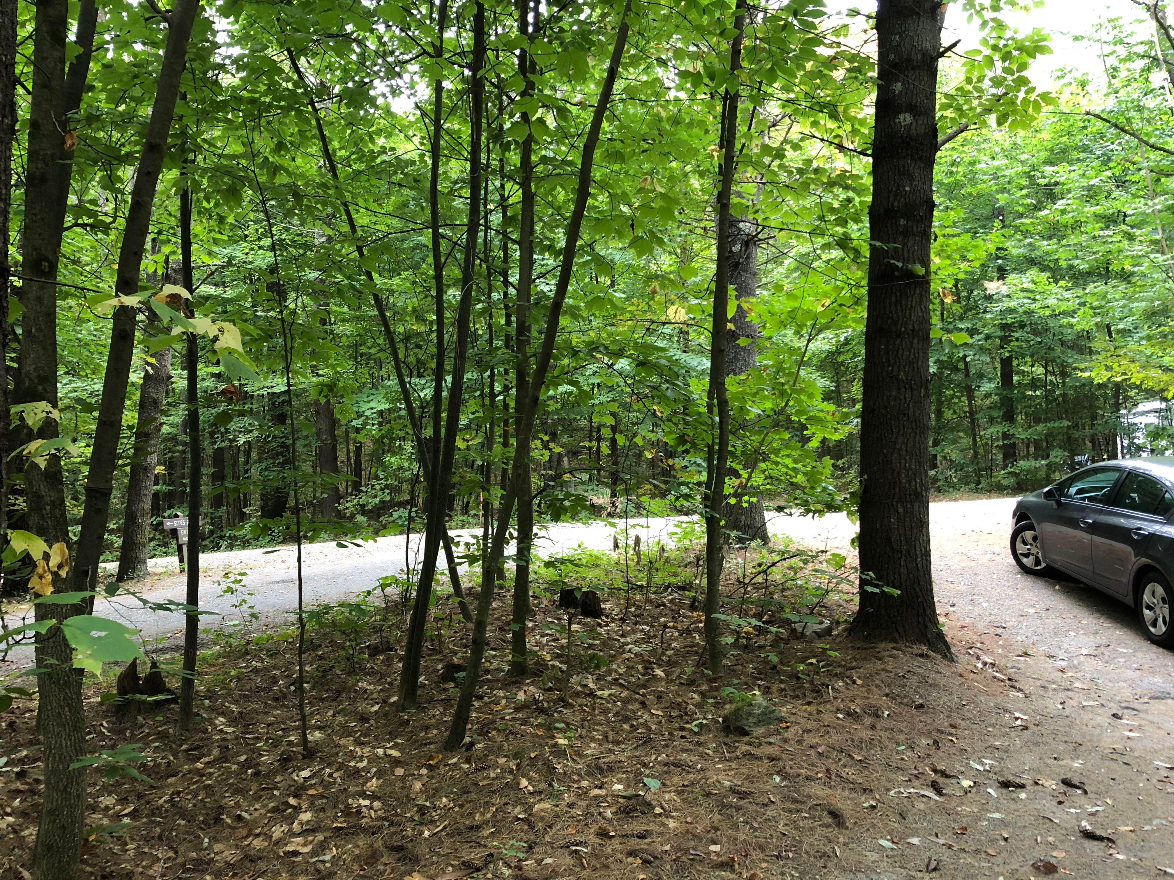 Camper-submitted photo at Mount Ascutney State Park Campground near Springfield, NH