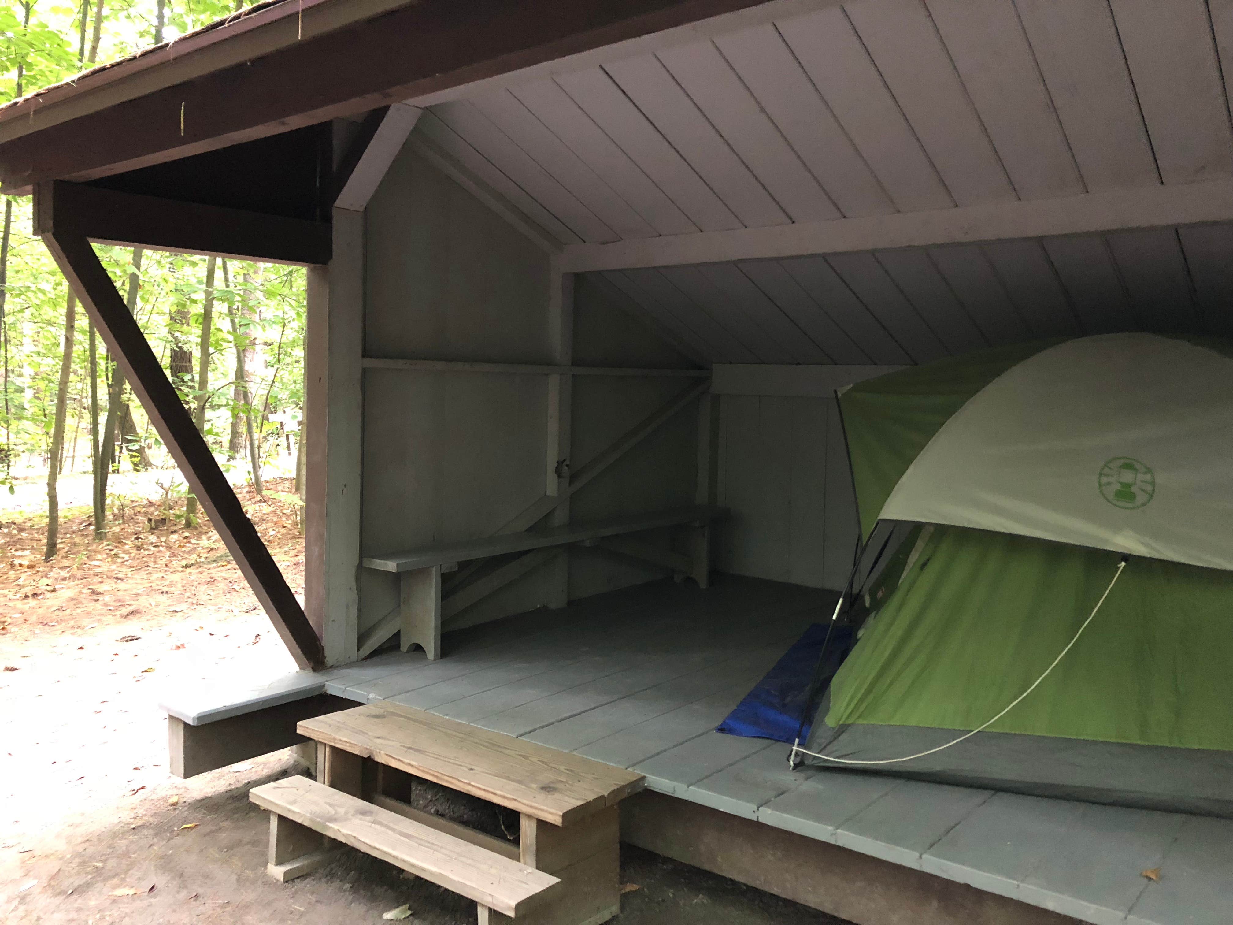 Camper submitted image from Mount Ascutney State Park Campground - 3