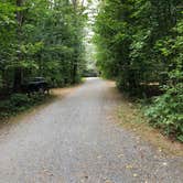 Review photo of Mt. Ascutney State Park by Emma N., September 27, 2018