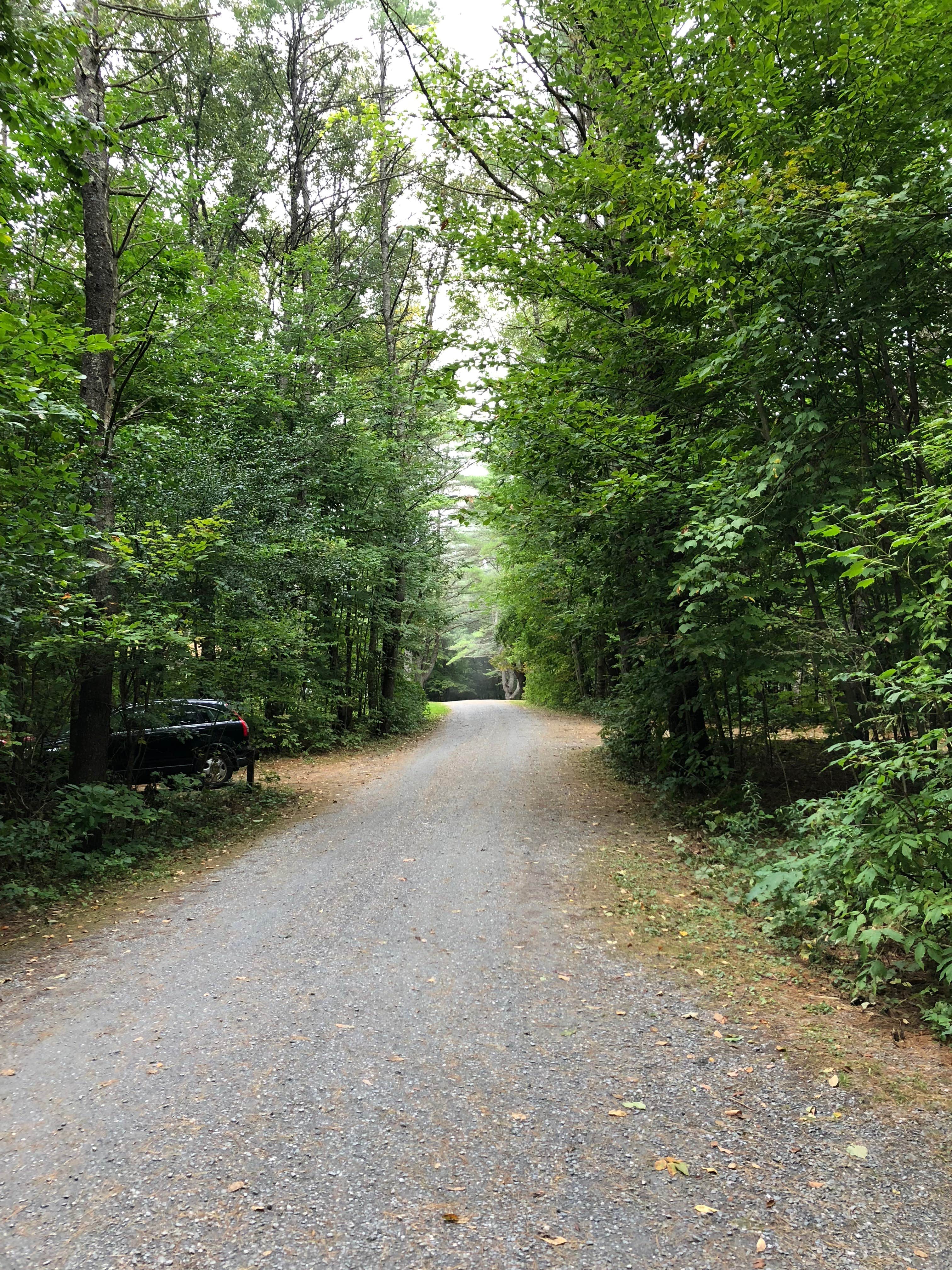 Camper submitted image from Mt. Ascutney State Park - 5