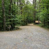 Review photo of Mt. Ascutney State Park by Emma N., September 27, 2018