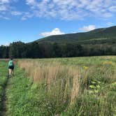 Review photo of Beaver Pond Campground — Harriman State Park by Emma N., September 27, 2018