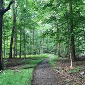 Review photo of Beaver Pond Campground — Harriman State Park by Emma N., September 27, 2018