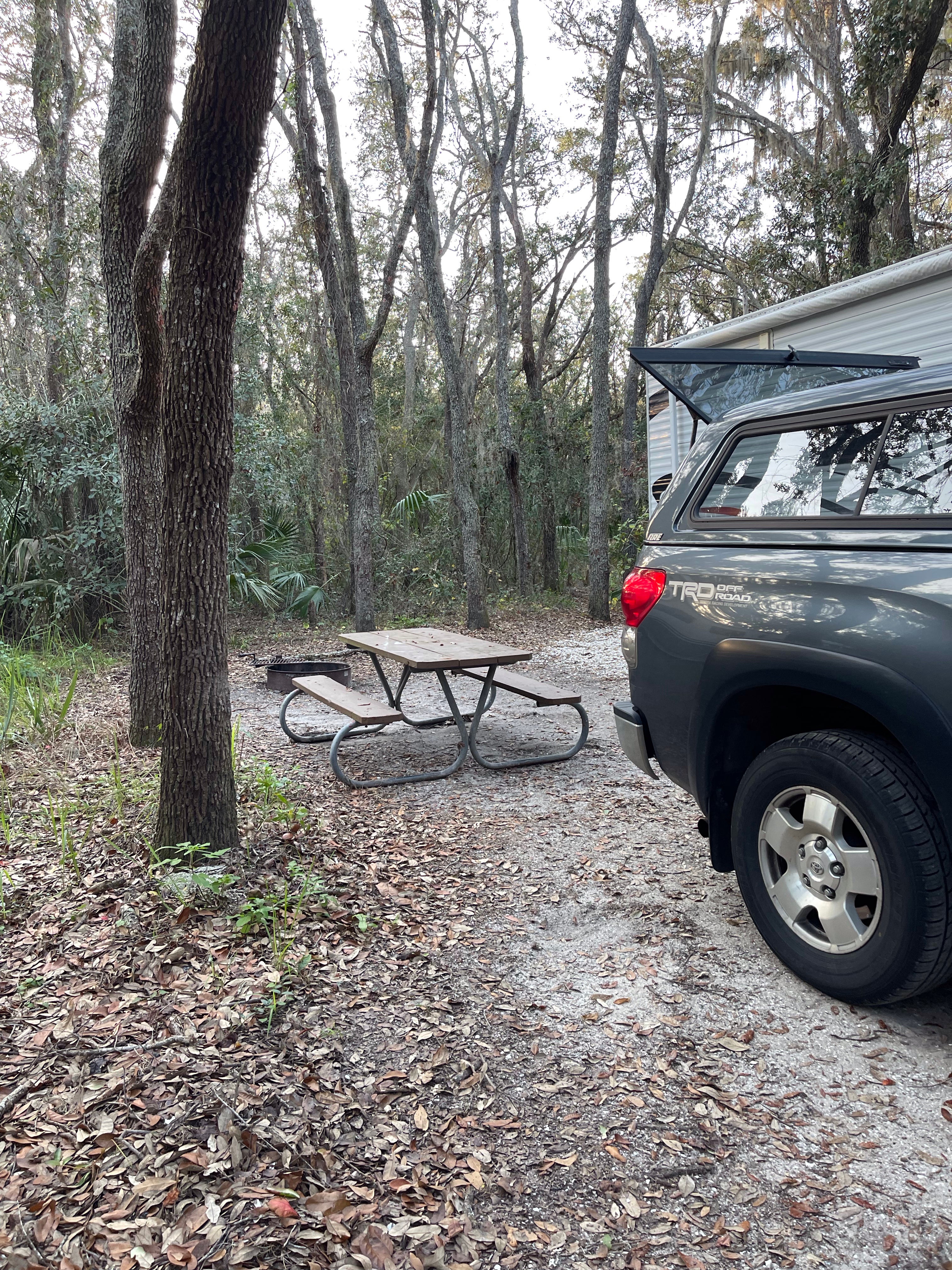 Camper submitted image from Lithia Springs - 2