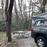 Review photo of Lithia Springs by Jenni C., January 10, 2023